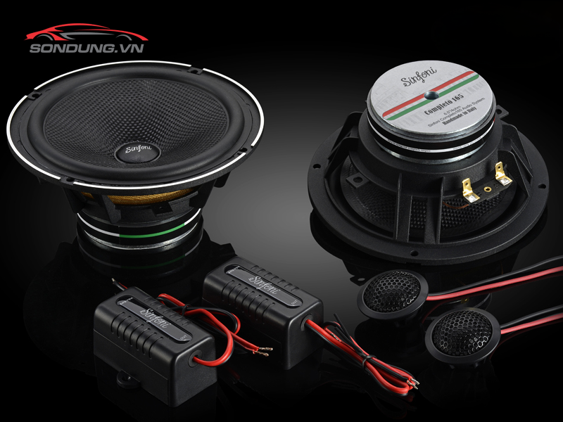 COMPLETO 165 2ways speaker SINFONI